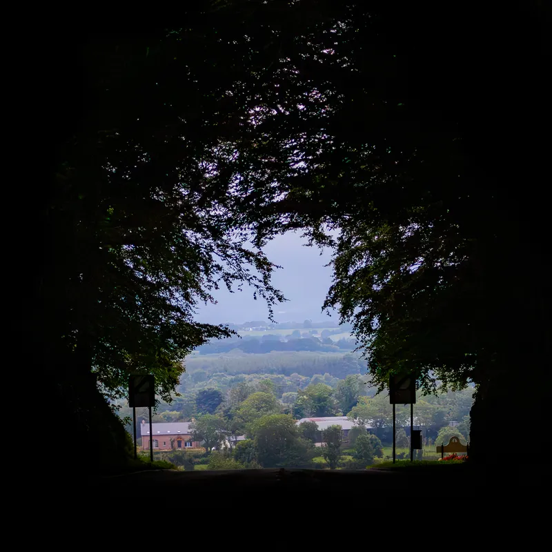 Countryside framed by an archway of dark trees